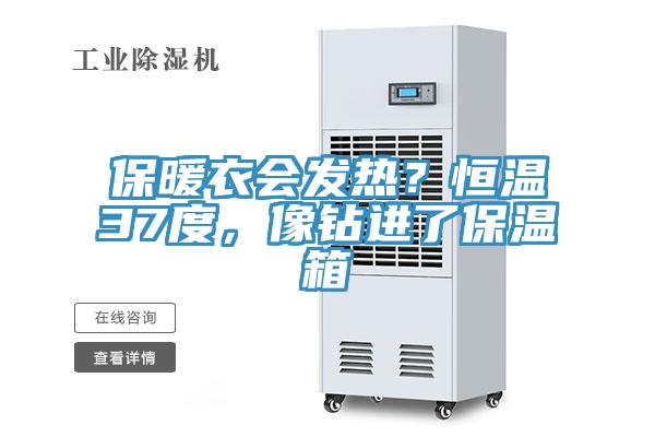 保暖衣會(huì)發(fā)熱？恒溫37度，像鉆進(jìn)了保溫箱