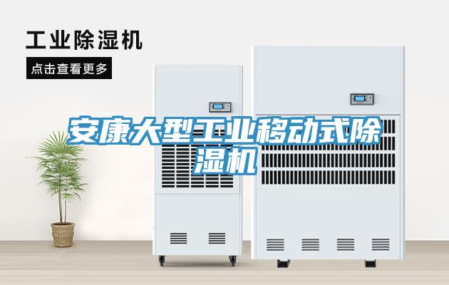 安康大型工業(yè)移動式除濕機