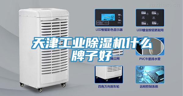 天津工業(yè)除濕機(jī)什么牌子好