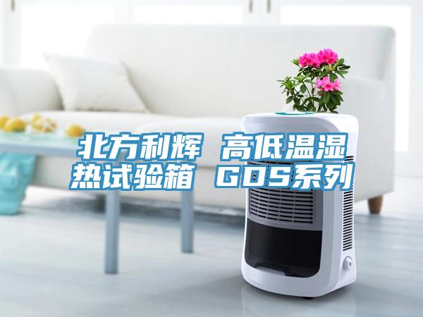 北方利輝 高低溫濕熱試驗(yàn)箱 GDS系列