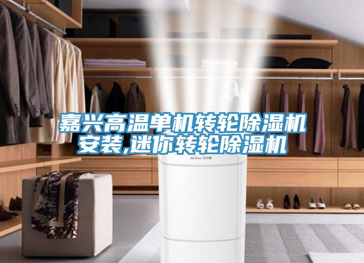 嘉興高溫單機(jī)轉(zhuǎn)輪除濕機(jī)安裝,迷你轉(zhuǎn)輪除濕機(jī)