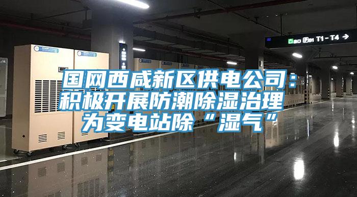 國網(wǎng)西咸新區(qū)供電公司：積極開展防潮除濕治理 為變電站除“濕氣”