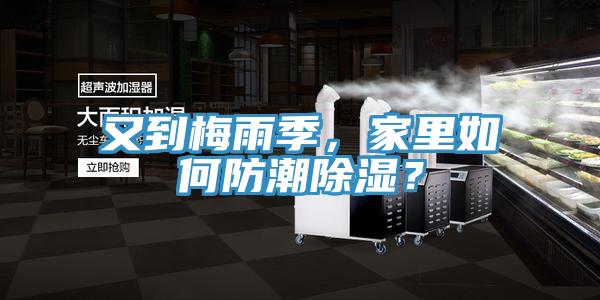又到梅雨季，家里如何防潮除濕？