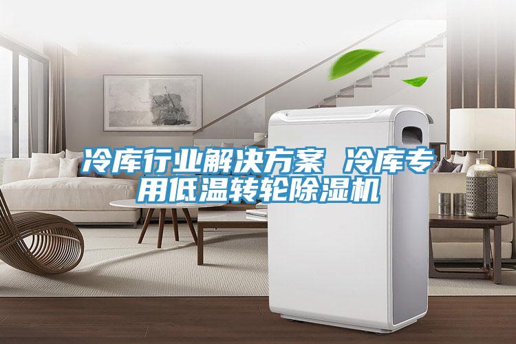 冷庫行業(yè)解決方案 冷庫專用低溫轉(zhuǎn)輪除濕機(jī)