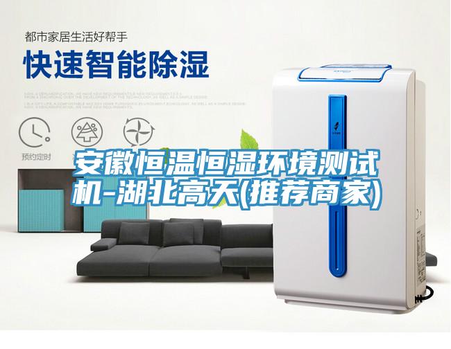 安徽恒溫恒濕環(huán)境測(cè)試機(jī)-湖北高天(推薦商家)