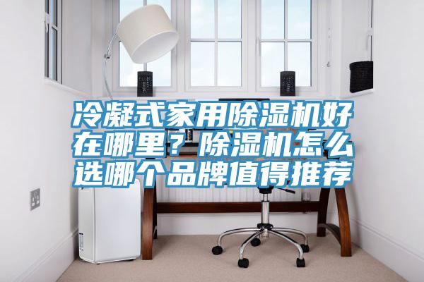 冷凝式家用除濕機好在哪里？除濕機怎么選哪個品牌值得推薦