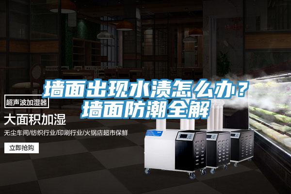 墻面出現(xiàn)水漬怎么辦？墻面防潮全解