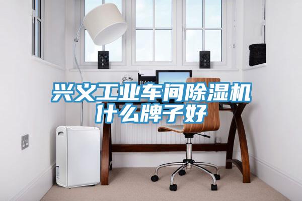 興義工業(yè)車間除濕機(jī)什么牌子好