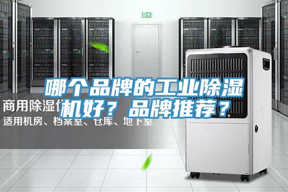 哪個品牌的工業(yè)除濕機(jī)好？品牌推薦？