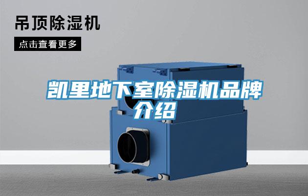 凱里地下室除濕機品牌介紹
