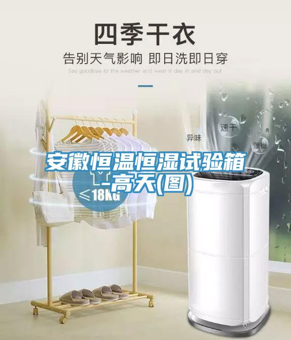 安徽恒溫恒濕試驗(yàn)箱-高天(圖)