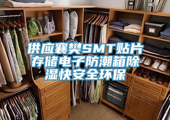 供應(yīng)襄樊SMT貼片存儲(chǔ)電子防潮箱除濕快安全環(huán)保