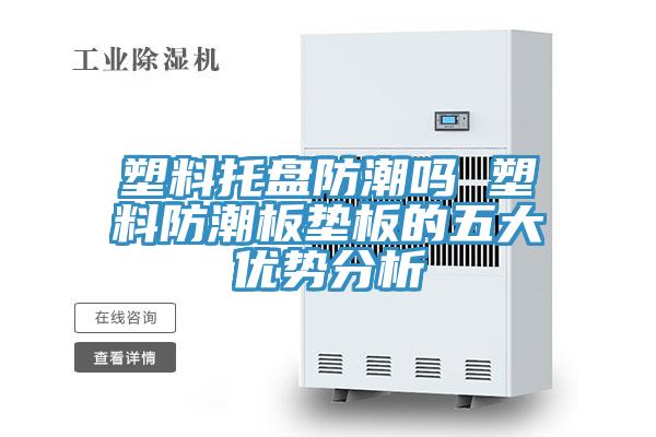 塑料托盤防潮嗎 塑料防潮板墊板的五大優(yōu)勢分析