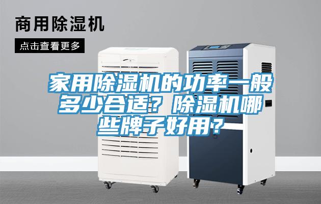 家用除濕機(jī)的功率一般多少合適？除濕機(jī)哪些牌子好用？