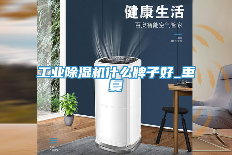 工業(yè)除濕機(jī)什么牌子好_重復(fù)
