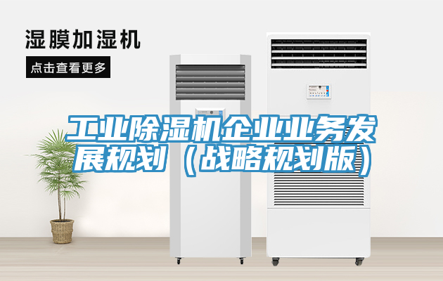 工業(yè)除濕機(jī)企業(yè)業(yè)務(wù)發(fā)展規(guī)劃（戰(zhàn)略規(guī)劃版）