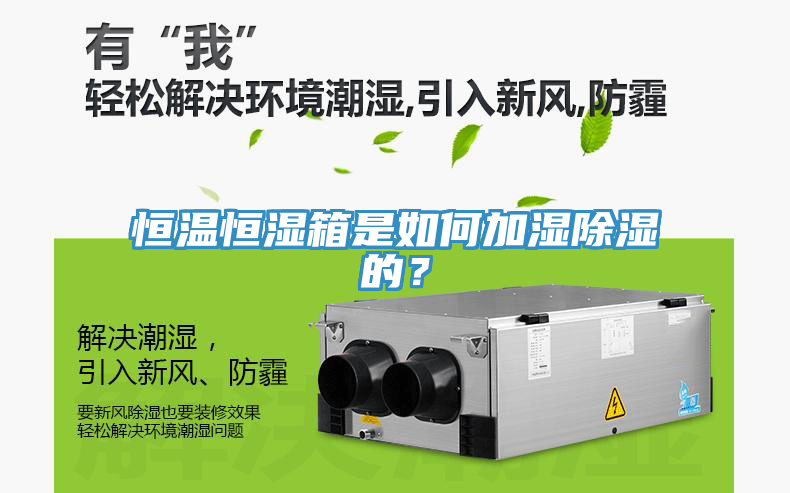 恒溫恒濕箱是如何加濕除濕的？