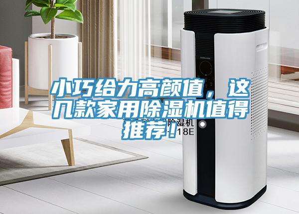 小巧給力高顏值，這幾款家用除濕機(jī)值得推薦！