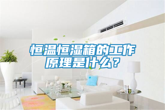 恒溫恒濕箱的工作原理是什么？
