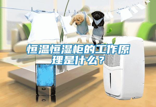 恒溫恒濕柜的工作原理是什么？