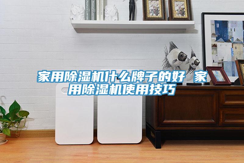 家用除濕機什么牌子的好 家用除濕機使用技巧
