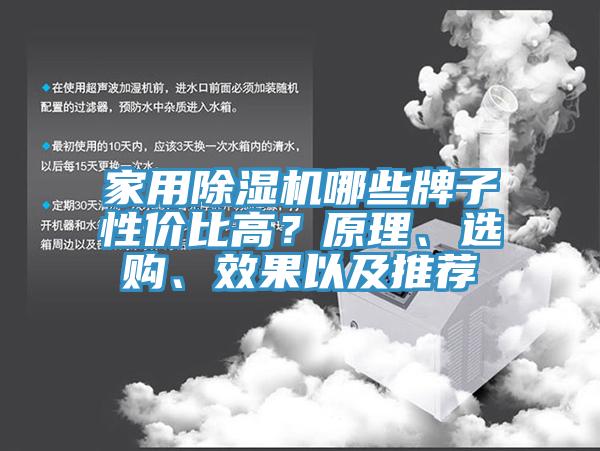 家用除濕機(jī)哪些牌子性價(jià)比高？原理、選購(gòu)、效果以及推薦