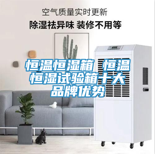 恒溫恒濕箱 恒溫恒濕試驗(yàn)箱十大品牌優(yōu)勢(shì)
