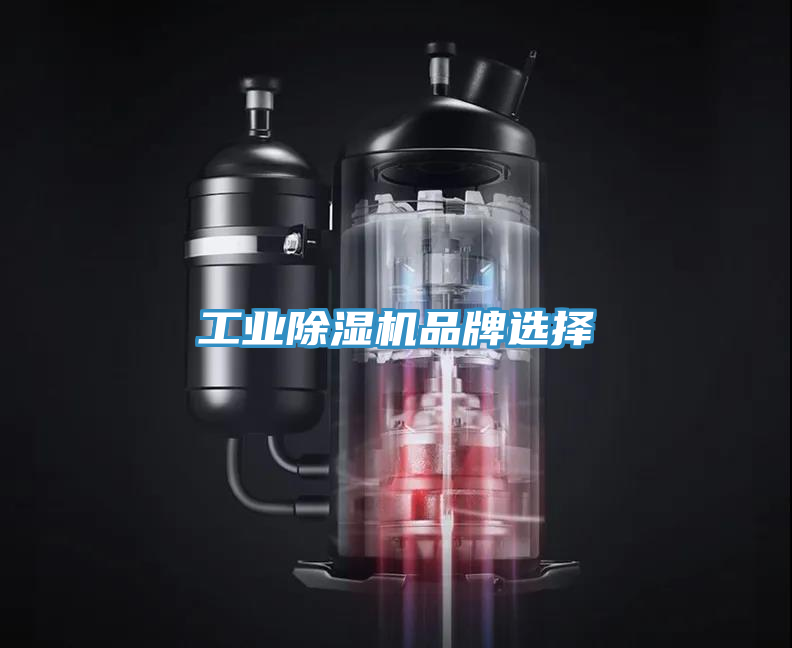 工業(yè)除濕機(jī)品牌選擇