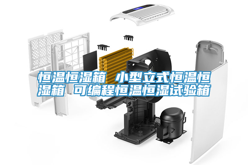 恒溫恒濕箱 小型立式恒溫恒濕箱 可編程恒溫恒濕試驗(yàn)箱