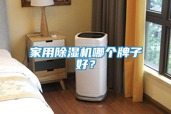 家用除濕機(jī)哪個(gè)牌子好？