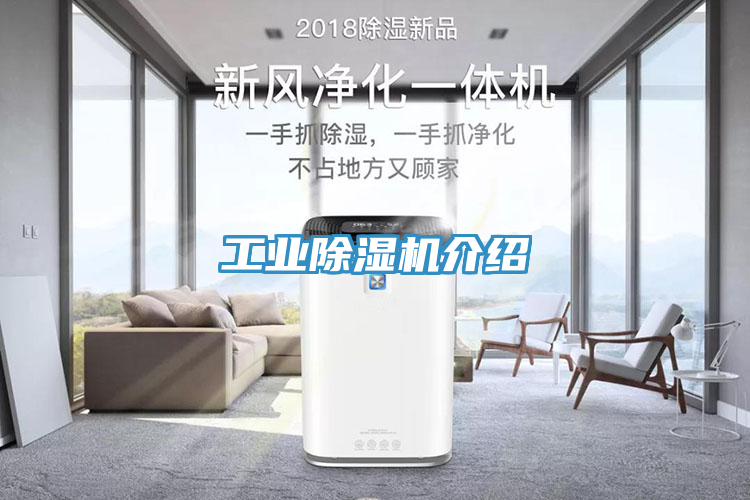工業(yè)除濕機(jī)介紹