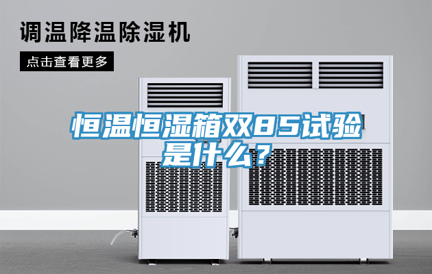 恒溫恒濕箱雙85試驗(yàn)是什么？
