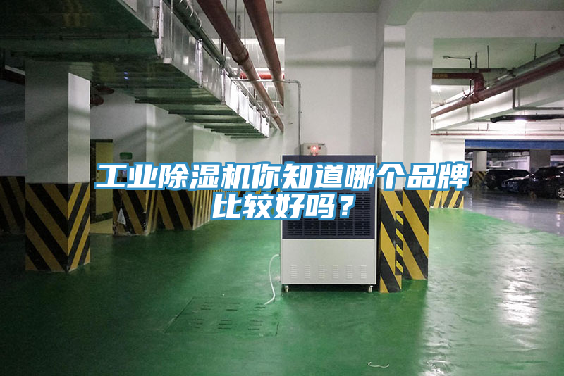 工業(yè)除濕機(jī)你知道哪個(gè)品牌比較好嗎？