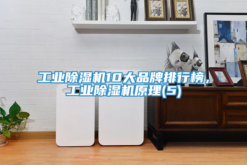 工業(yè)除濕機(jī)10大品牌排行榜，工業(yè)除濕機(jī)原理(5)