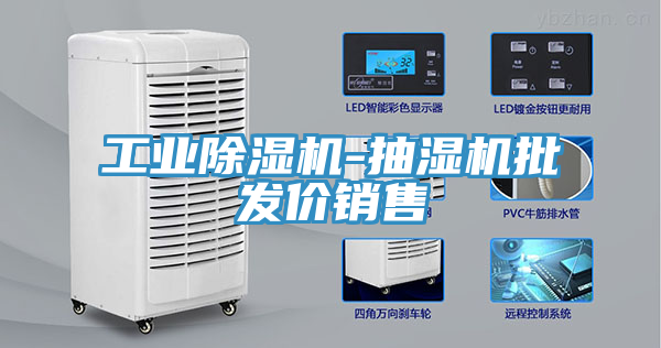 工業(yè)除濕機(jī)-抽濕機(jī)批發(fā)價銷售