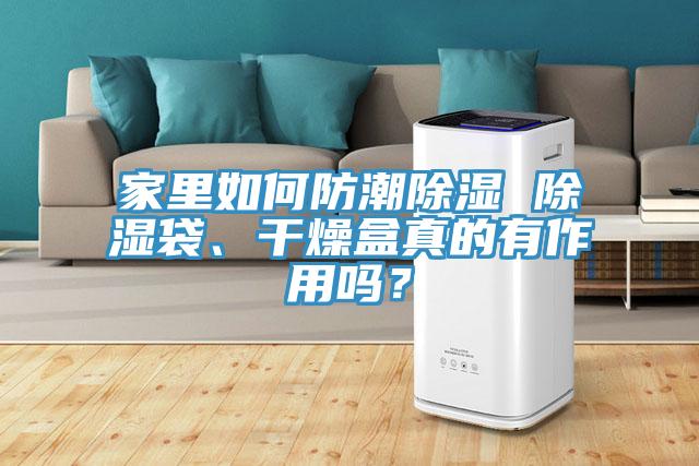 家里如何防潮除濕 除濕袋、干燥盒真的有作用嗎？