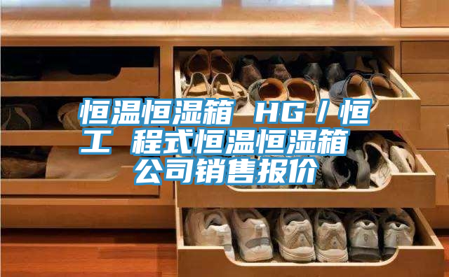 恒溫恒濕箱 HG／恒工 程式恒溫恒濕箱 公司銷售報(bào)價(jià)
