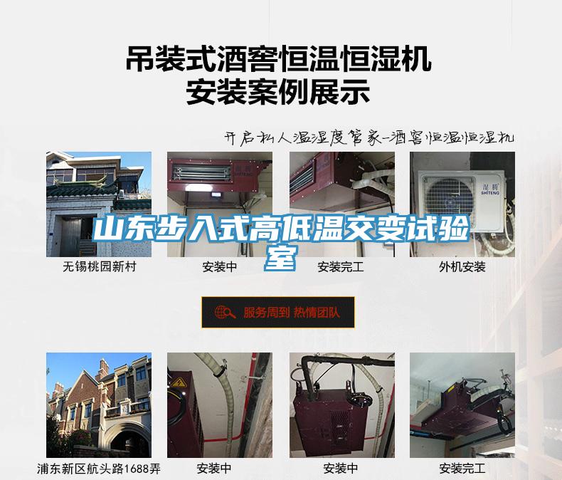 山東步入式高低溫交變試驗室