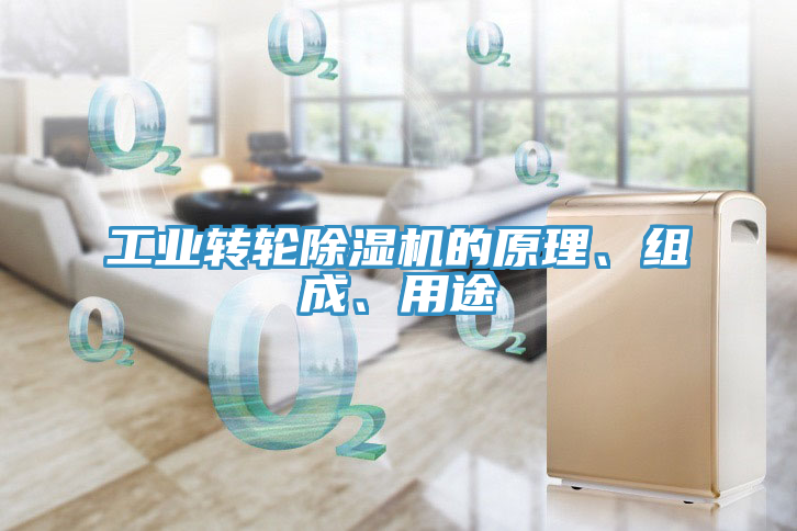工業(yè)轉(zhuǎn)輪除濕機(jī)的原理、組成、用途
