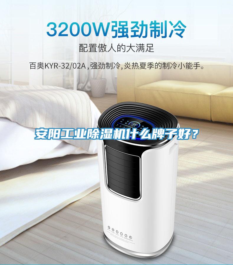 安陽工業(yè)除濕機什么牌子好？
