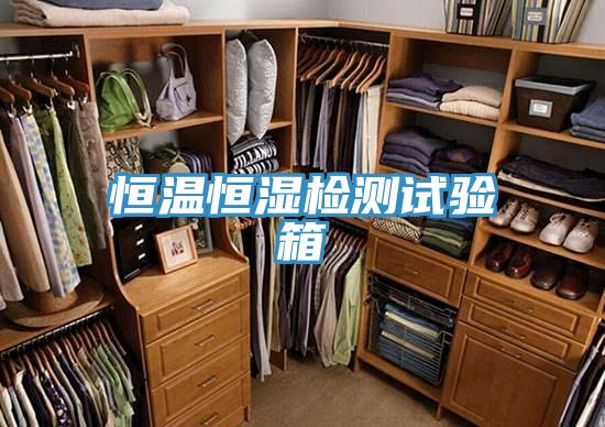 恒溫恒濕檢測(cè)試驗(yàn)箱