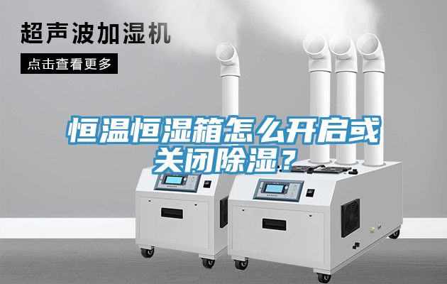 恒溫恒濕箱怎么開啟或關(guān)閉除濕？