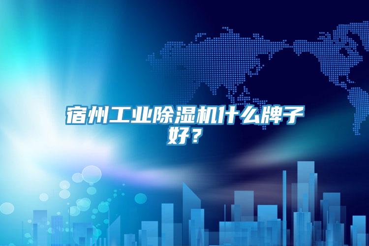 宿州工業(yè)除濕機(jī)什么牌子好？