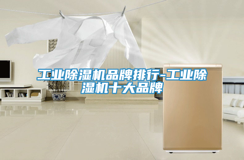 工業(yè)除濕機(jī)品牌排行-工業(yè)除濕機(jī)十大品牌