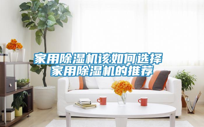 家用除濕機(jī)該如何選擇 家用除濕機(jī)的推薦