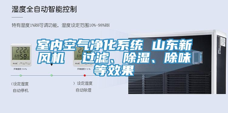 室內(nèi)空氣凈化系統(tǒng) 山東新風(fēng)機(jī)  過濾、除濕、除味等效果
