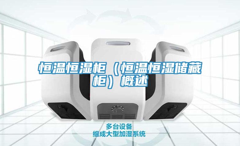 恒溫恒濕柜（恒溫恒濕儲(chǔ)藏柜）概述