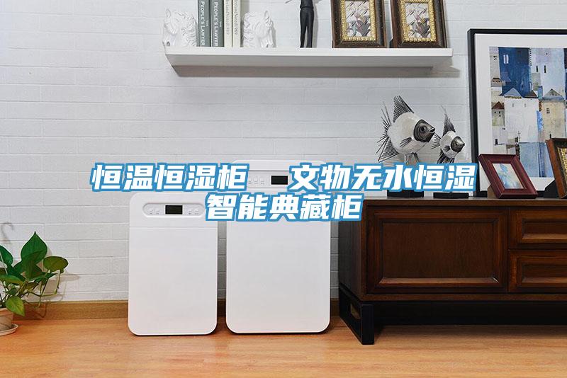 恒溫恒濕柜  文物無(wú)水恒濕智能典藏柜
