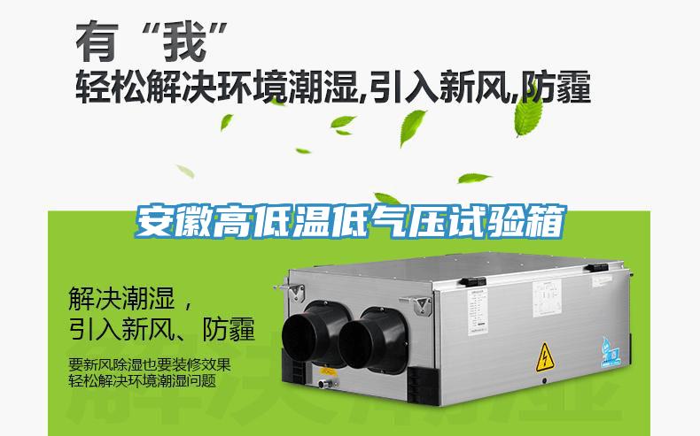安徽高低溫低氣壓試驗(yàn)箱