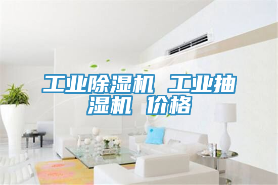 工業(yè)除濕機 工業(yè)抽濕機 價格